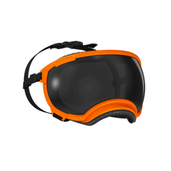 REX Space Hundebrille V2, Orange