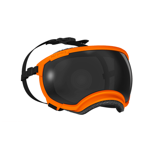 REX Space Hundebrille V2, Orange