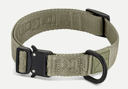 Modena Hundehalsband, Grolive