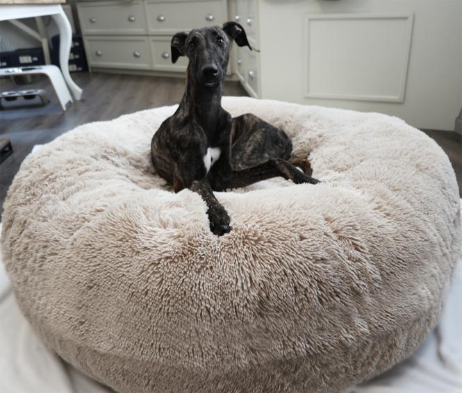 COSYBED, Easy Air, Longhair Sand