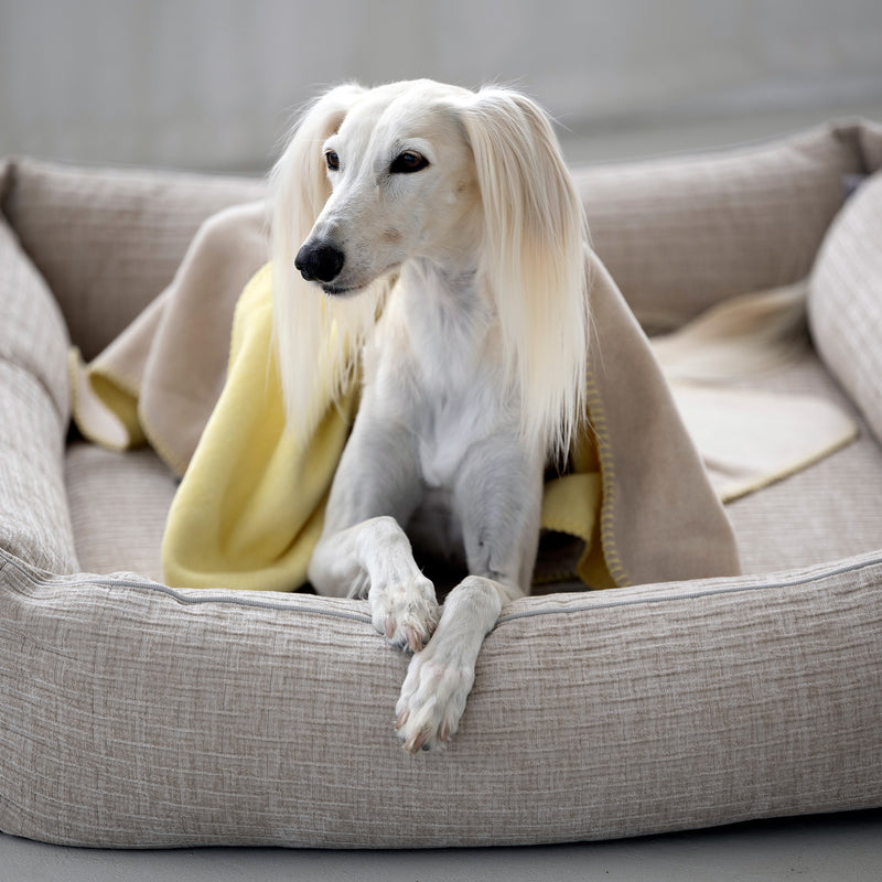 Hundedecke REVERSO, Sand-Yellow