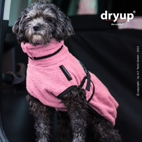 Dryup Cape mini, Rosé