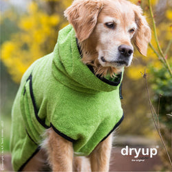 Dryup Cape Kiwi