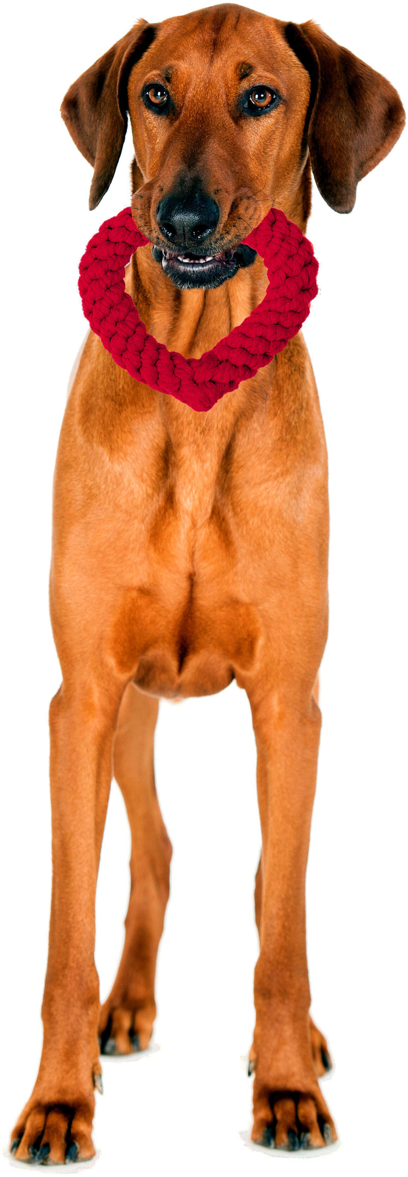 Hundespielzeug Hertha Heart