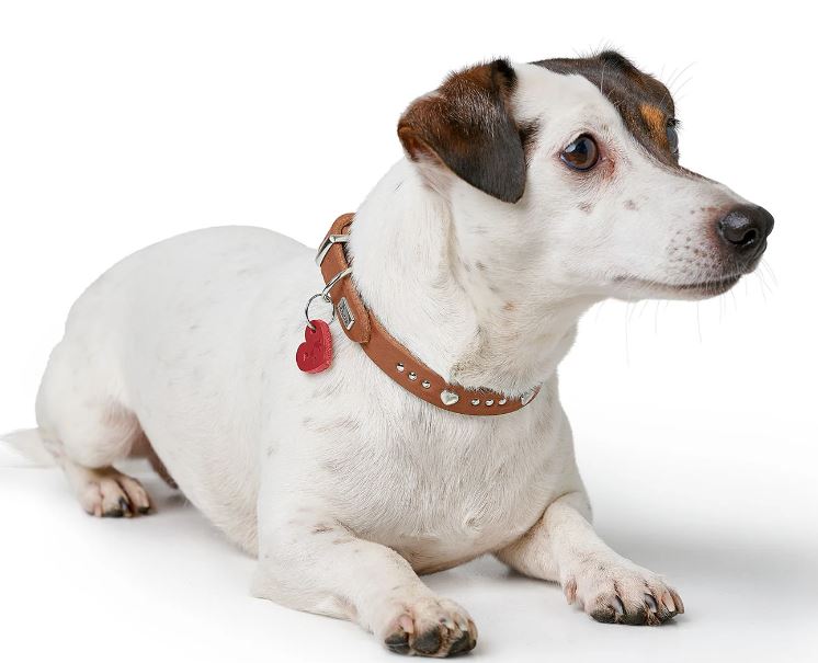 Halsband Aalborg Hearts, Cognac