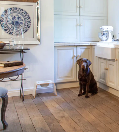 DogBar Single M, Weiss