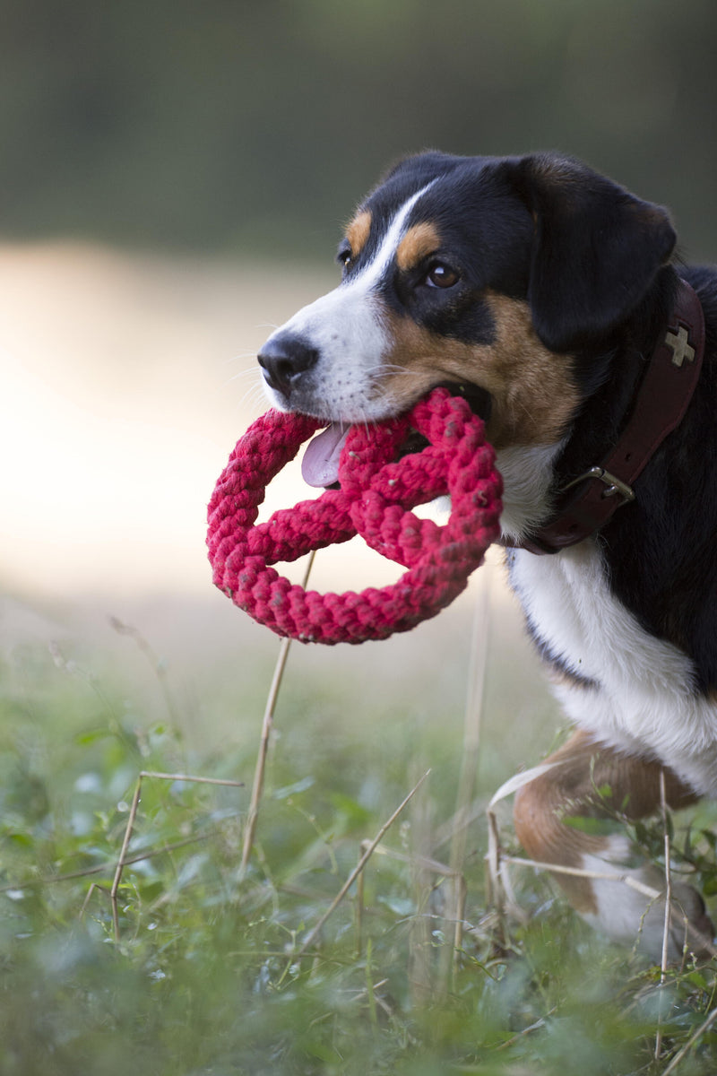 Hundespielzeug Paulchen Peace, Rot