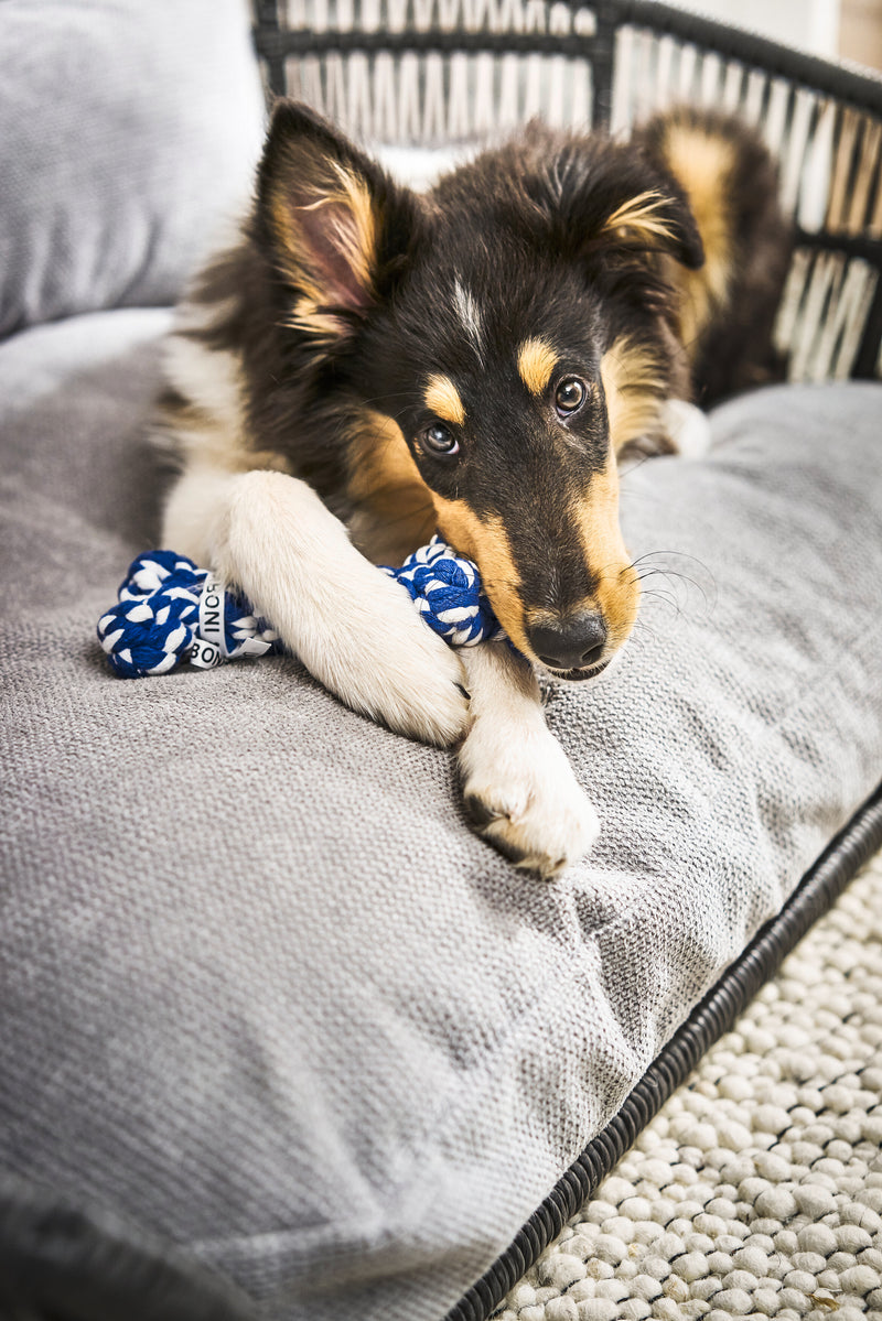 Hundespielzeug Bonnie Bone