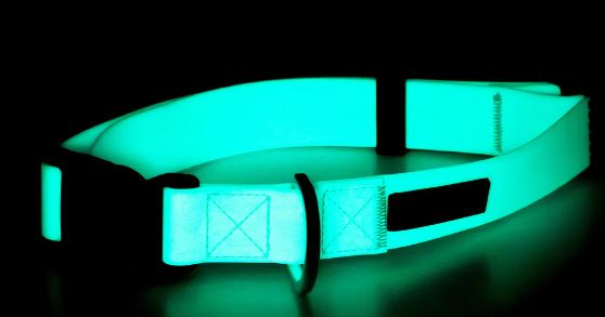 Glow Halsband, Aqua