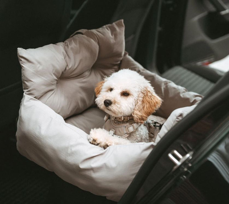 2- in1 Autositz/Reisebett Seoul grau