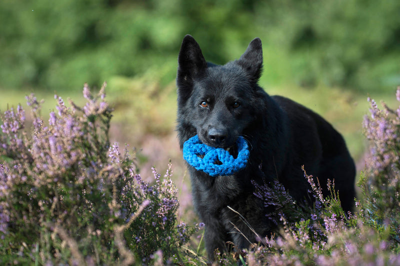 Hundespielzeug Paulchen Peace