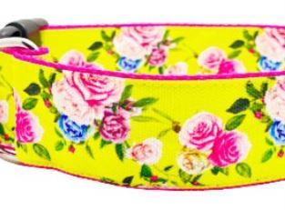 Halsband Roses on Yellow