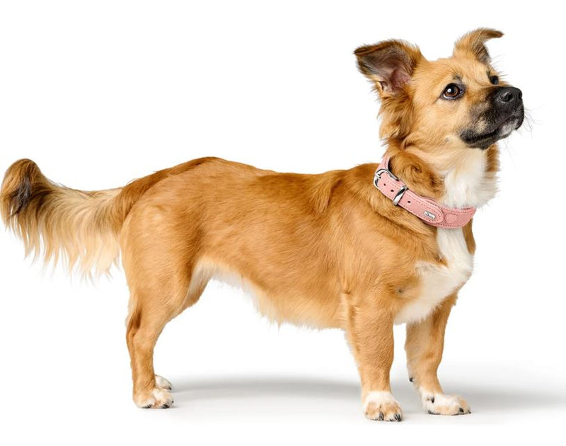 Halsband Soho Love, Hellrosa