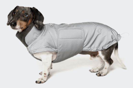 Hundemantel Brooklyn Dacke, Reflective