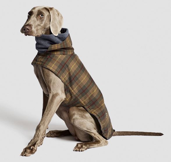 Hundemantel Brooklyn Waxed Tartan