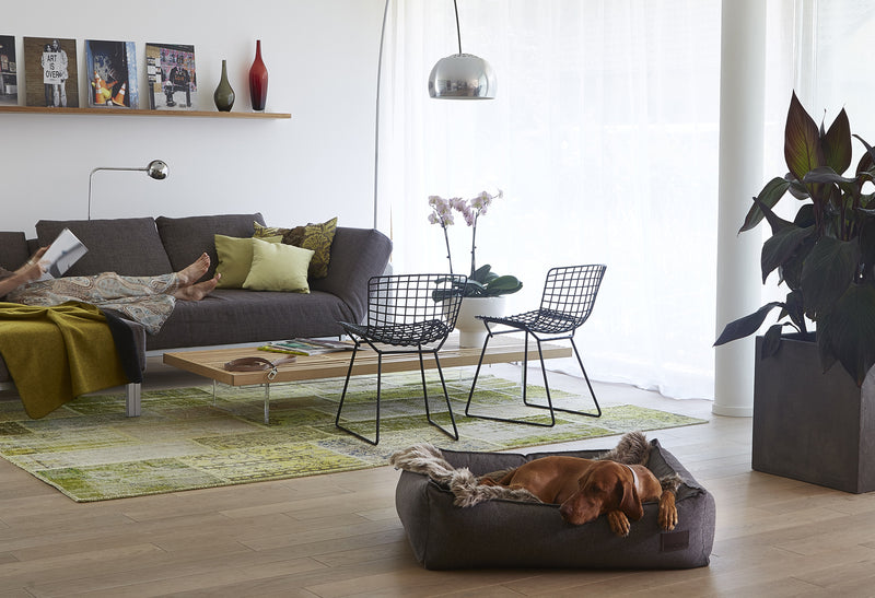 Nube Box-Bett, Salz & Pfeffer
