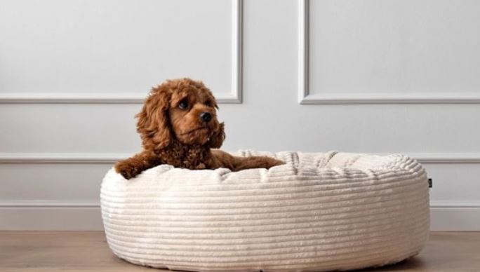 Hundebett Donut, K-Nax, Cord Creme