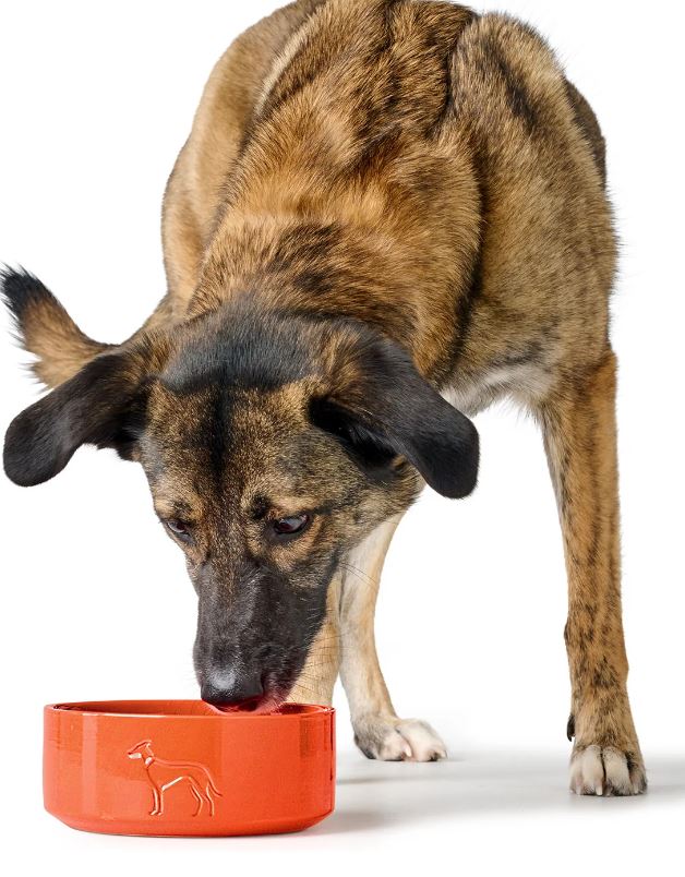 Keramik-Napf Osby, Glazed Orange