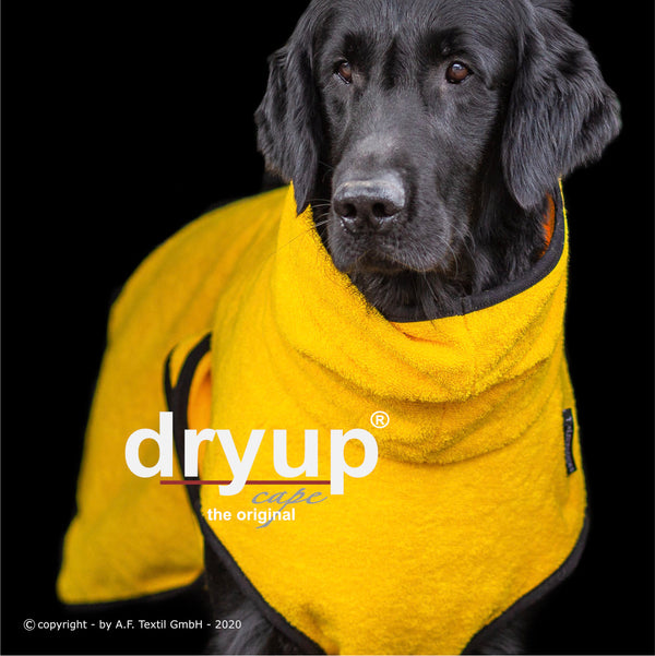 Dryup Cape Yellow