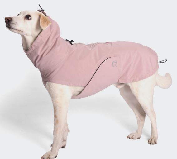 Hunderegenmantel Dublin, Woodrose