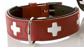 Halsband Swiss, Rot mit Schweizerkreuz