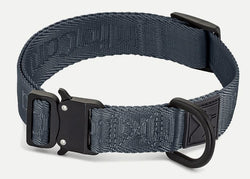 Modena Hundehalsband, Asphalt