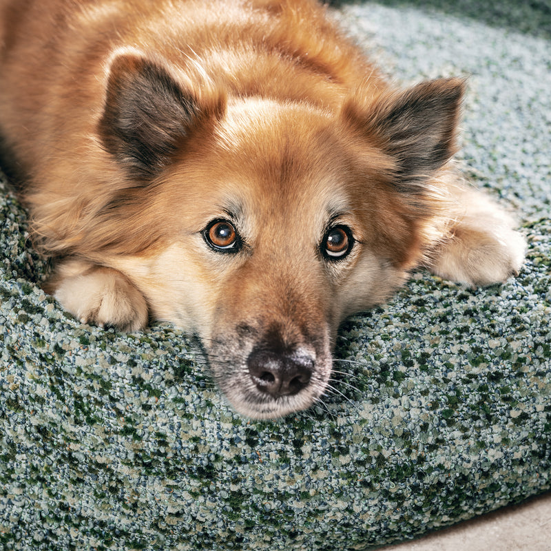 Hundebett SIENA, Elba