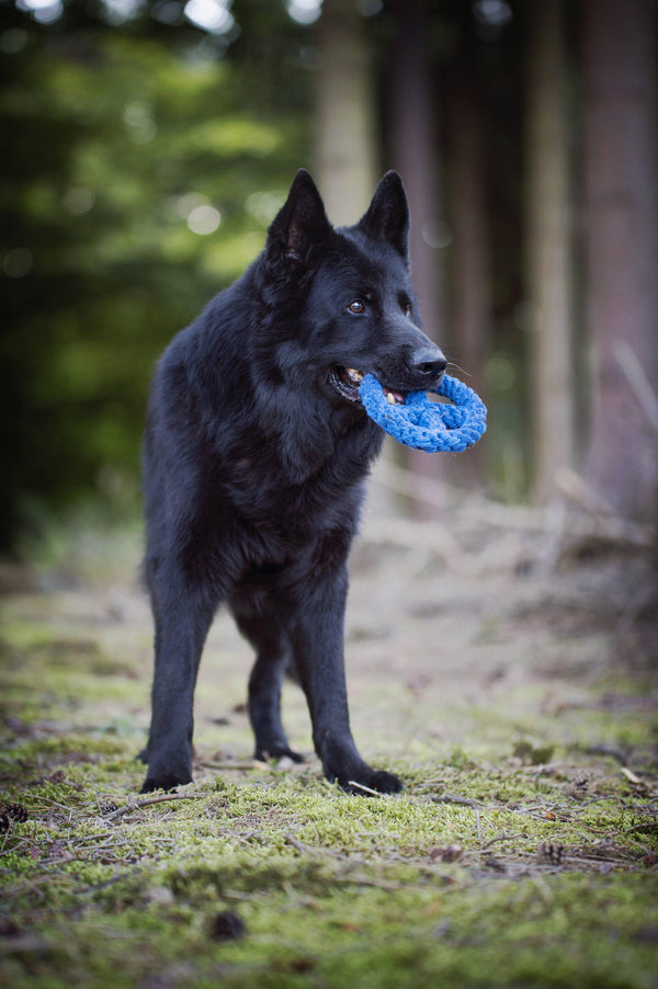 Hundespielzeug Paulchen Peace