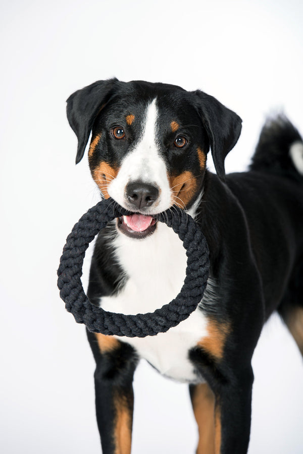 Hundespielzeug Ringo Ring