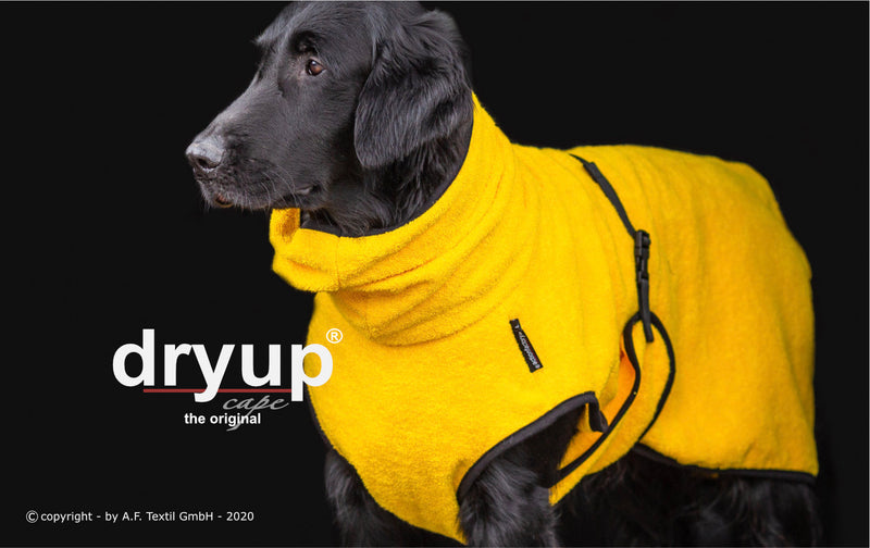 Dryup Cape Yellow