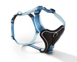 Geschirr Prof. Comfort, aqua/azur
