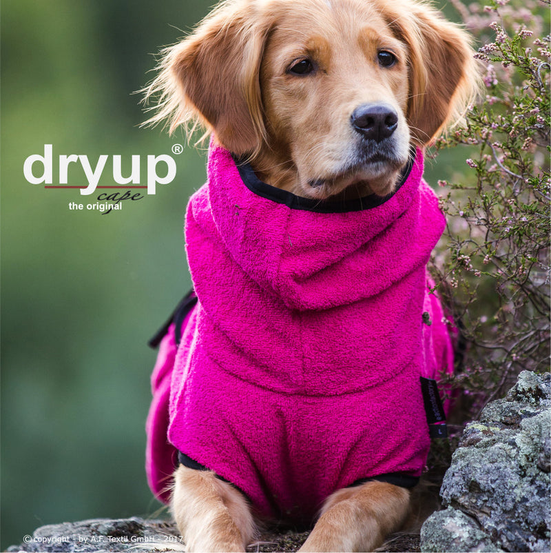 Dryup Cape pink