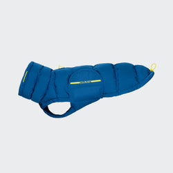 Hundemantel Alaska für Dackel, Electrice Blue