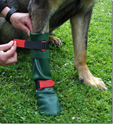 Pfotenschuh aus Naturlatex Dog Gusti