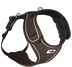 Belka Harness