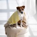 Hundedecke REVERSO, Sand-Yellow – Bild 4