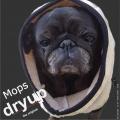 DryUp für Mops – Bild 2