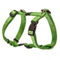 Geschirr Alpinist – Bild 5
