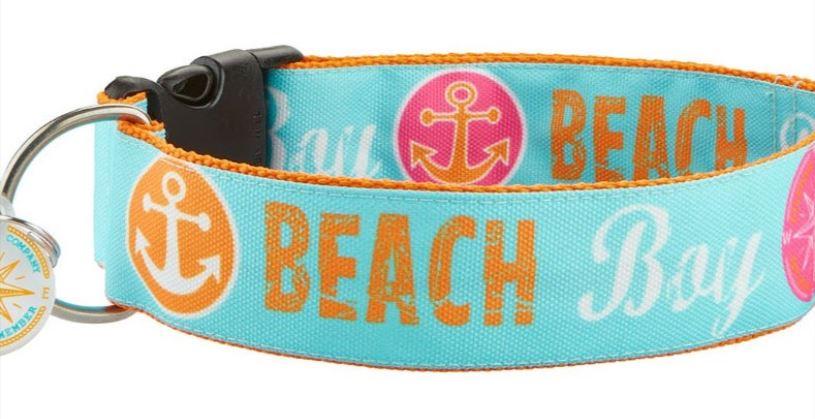 Halsband Beach Boyb Türkis/Neutral