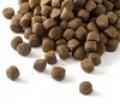 Essential Welpe bis 15kg – Bild 2