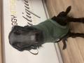 Strickpullover LEVRIERI Verde Militare – Bild 3