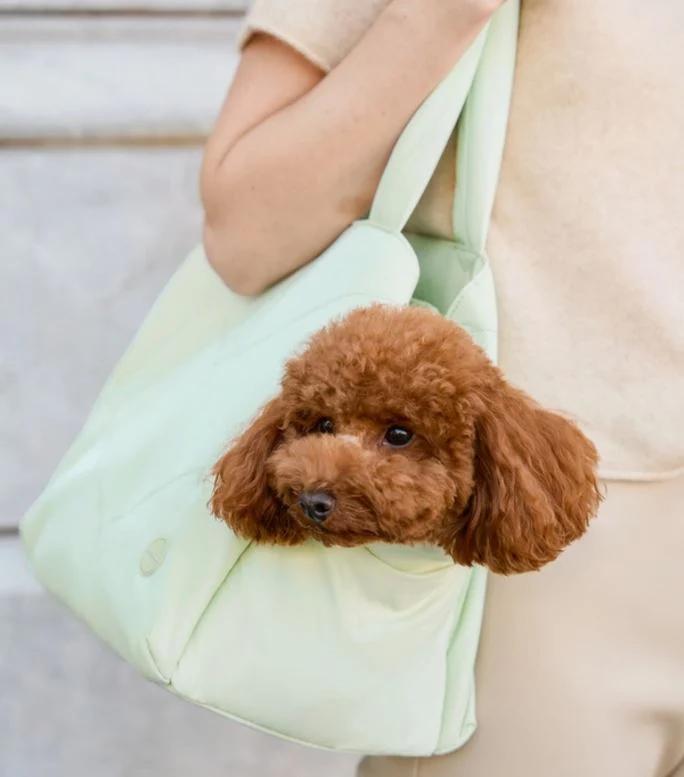 Hundetasche Tote Mint – Bild 3