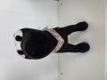 Harness aus Leder Appaloosa – Bild 3