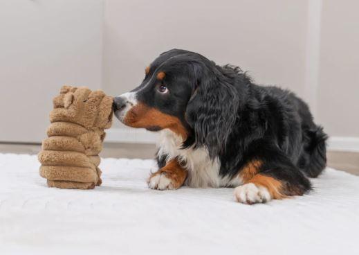 Hundespielzeug Wasserschwein – Bild 3