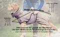 Dryup Cape Yellow – Bild 5