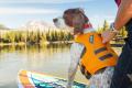 K-9 Float Coat Orange – Bild 4