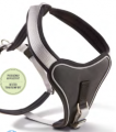 Geschirr Prof. Comfort Kiwi/Schwarz – Bild 5