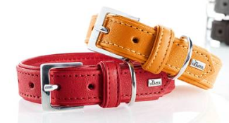 Halsband Wallgau Rot oder Orange