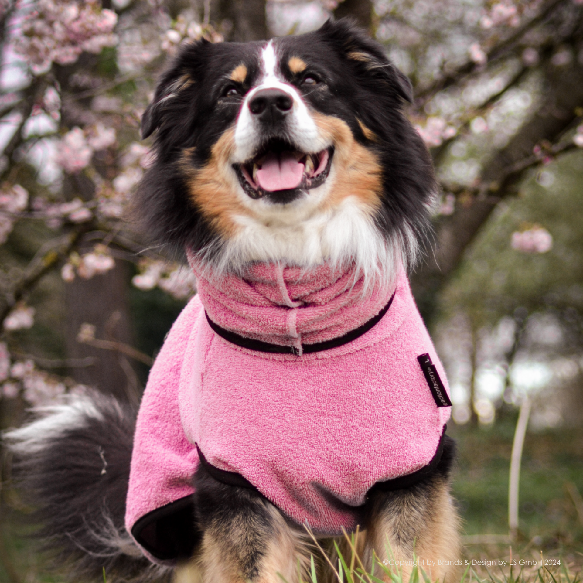 Dryup Cape Rosé