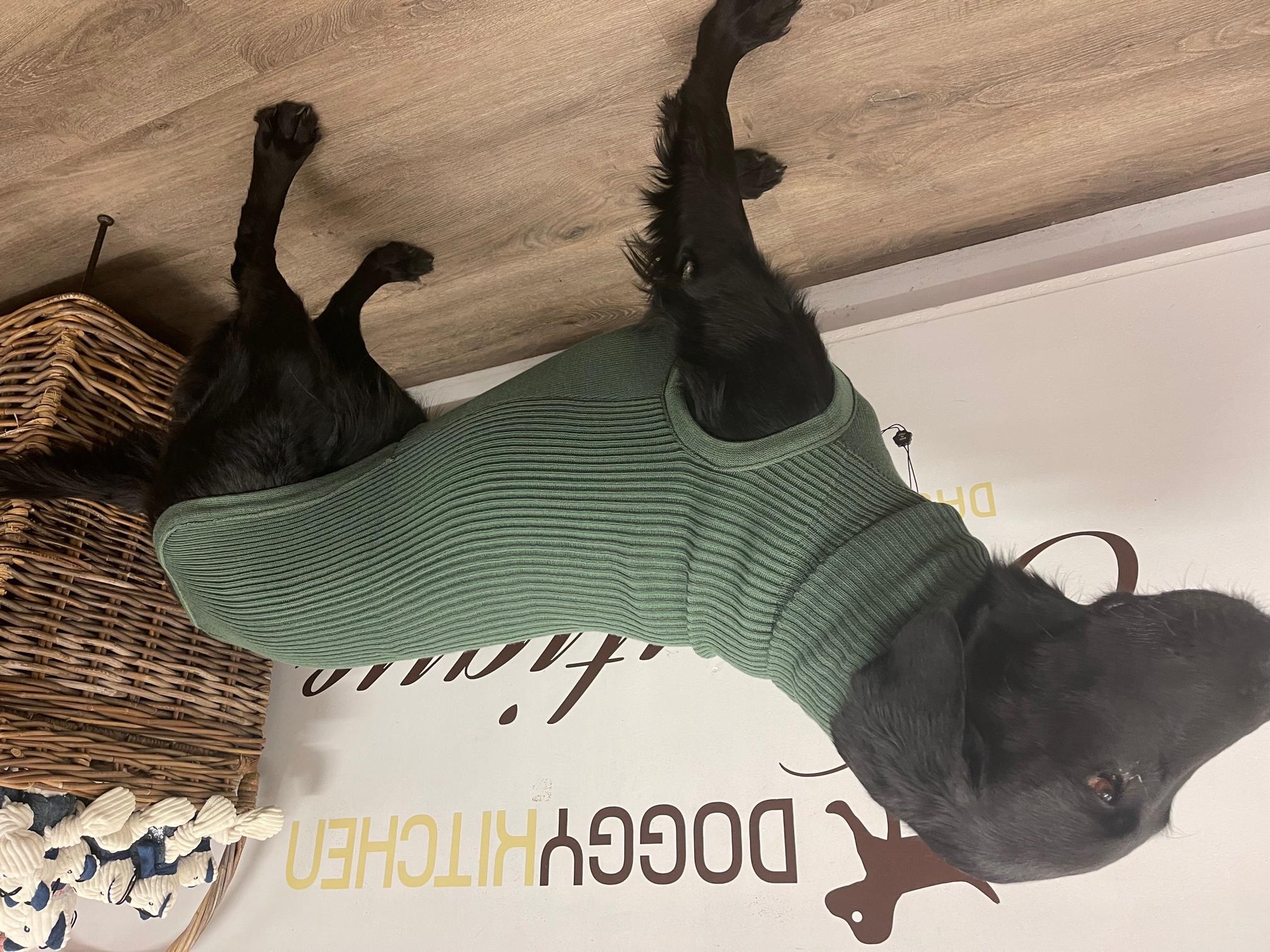 Strickpullover LEVRIERI Verde Militare